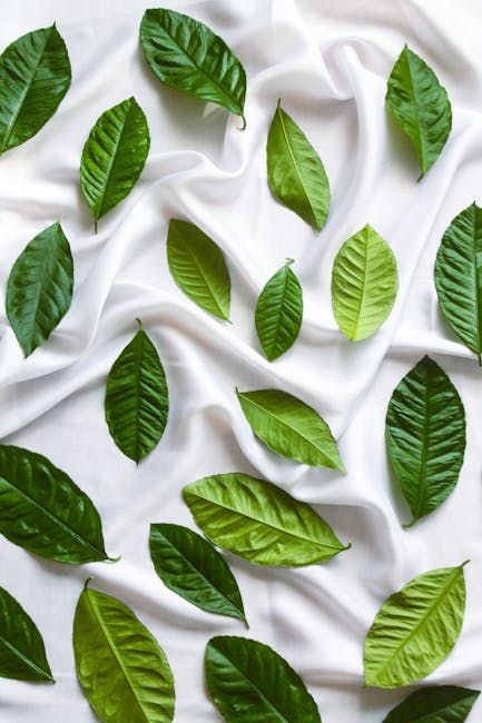 Fresh dark green spinach leaves arranged in a white ceramic bowl on a clean marble surface